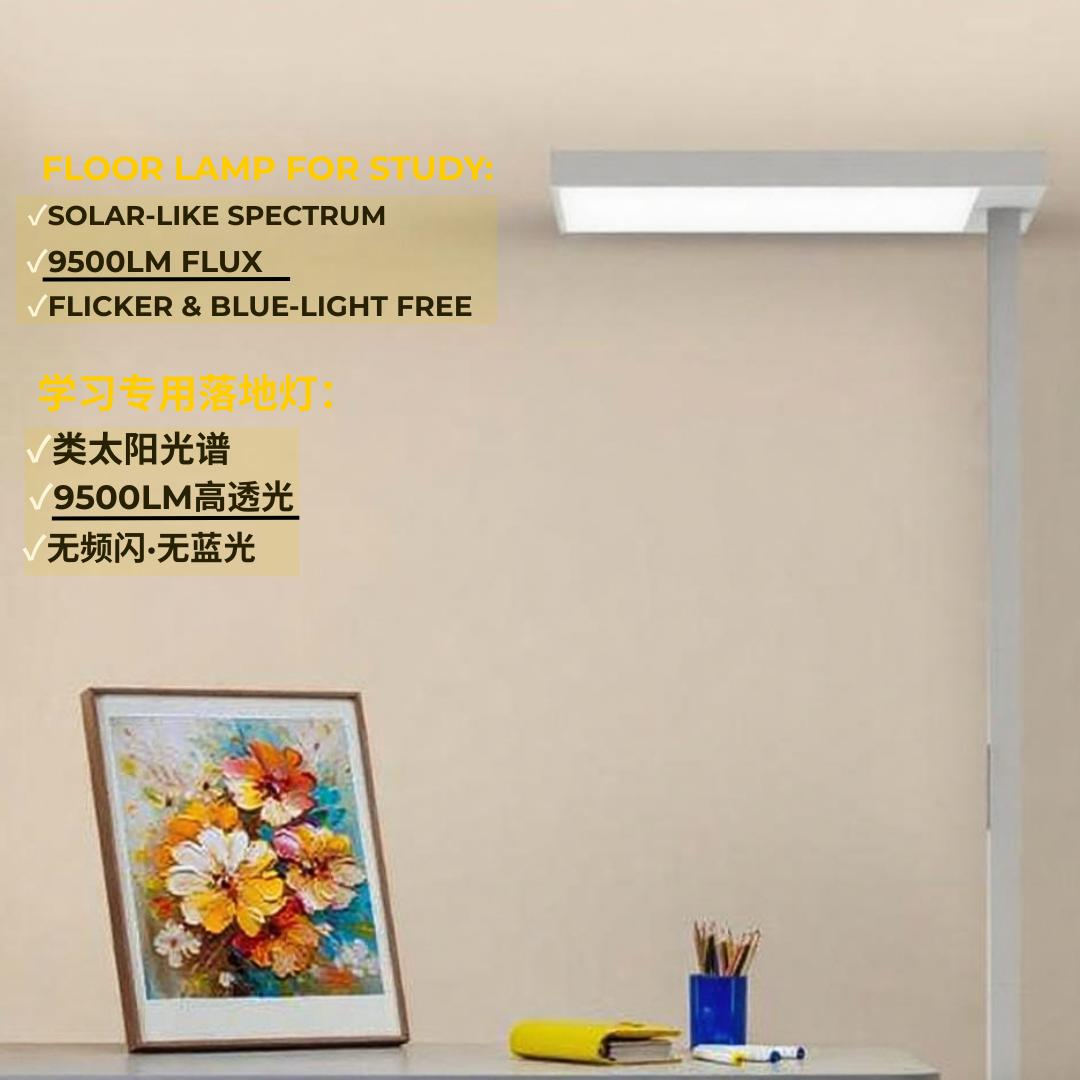 BR-FS1035 Floor Standing Eye Protection Lamp – Ra96 - RG0 - No Flicker - Classroom Standard
