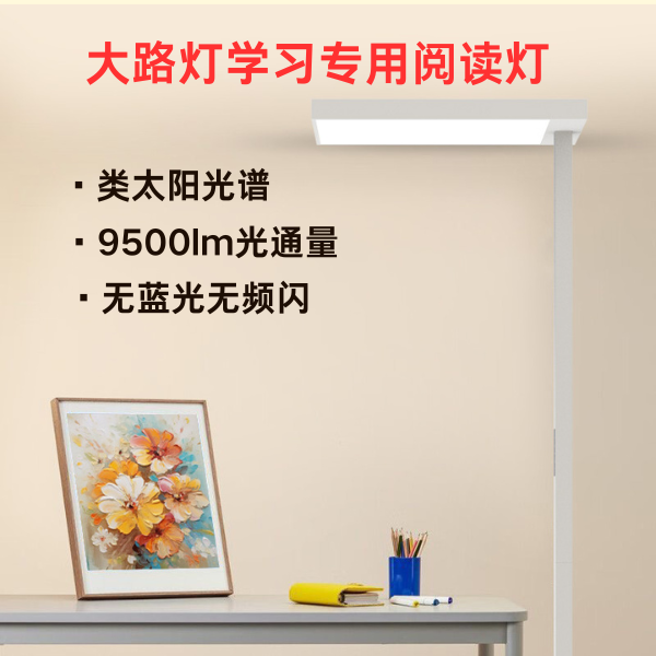 BR-FS1035 Floor Standing Eye Protection Lamp – Ra96 | RG0 | No Flicker | Classroom Standard