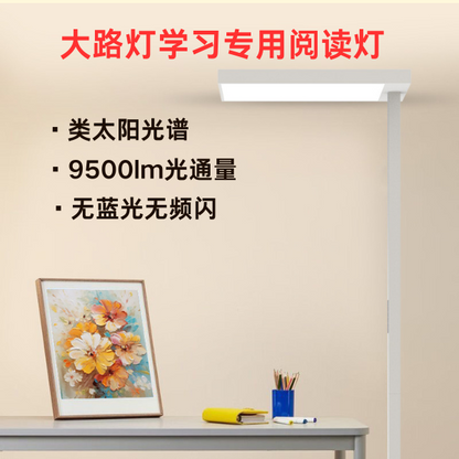 BR-FS1035 Floor Standing Eye Protection Lamp – Ra96 | RG0 | No Flicker | Classroom Standard