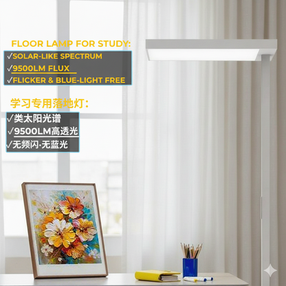 BR-FS1035 Floor Standing Eye Protection Lamp – Ra96 - RG0 - No Flicker - Classroom Standard